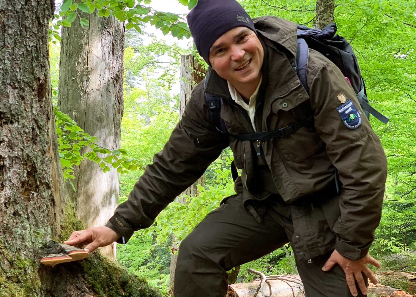 Führungen mit dem Ranger durch den Bayerischen Wald