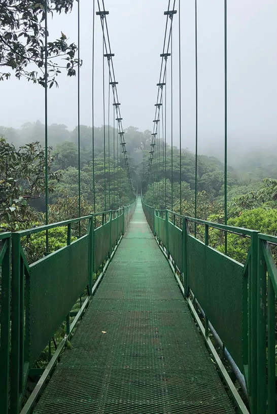 Hängebrücke im Nebelwald
