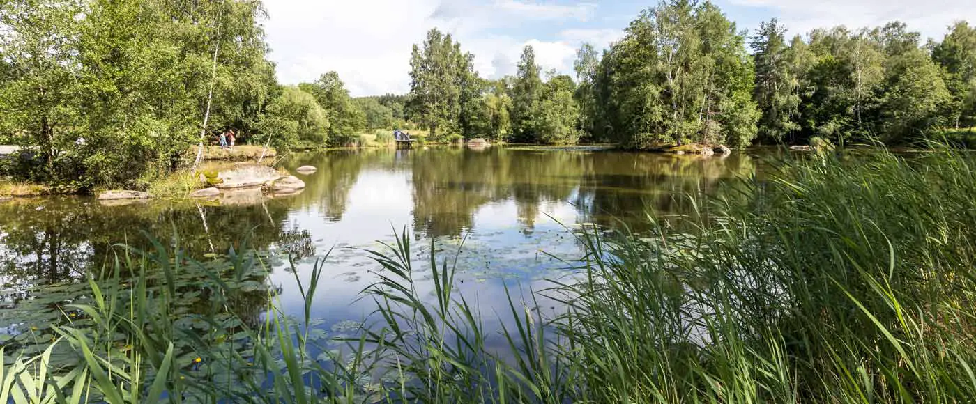 Highlights und Sehenswürdigkeiten im Waldviertel