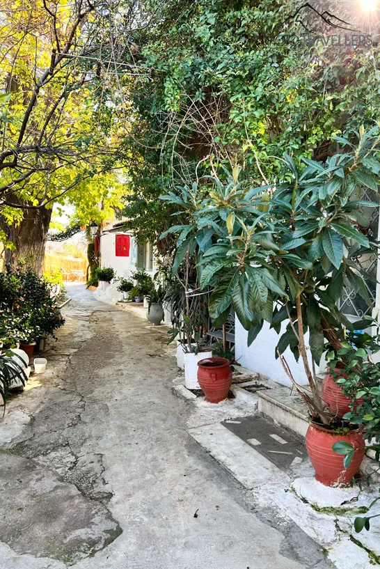 Eine von Pflanzen verwachsene Gasse im Altstadtviertel Plaka in Athen