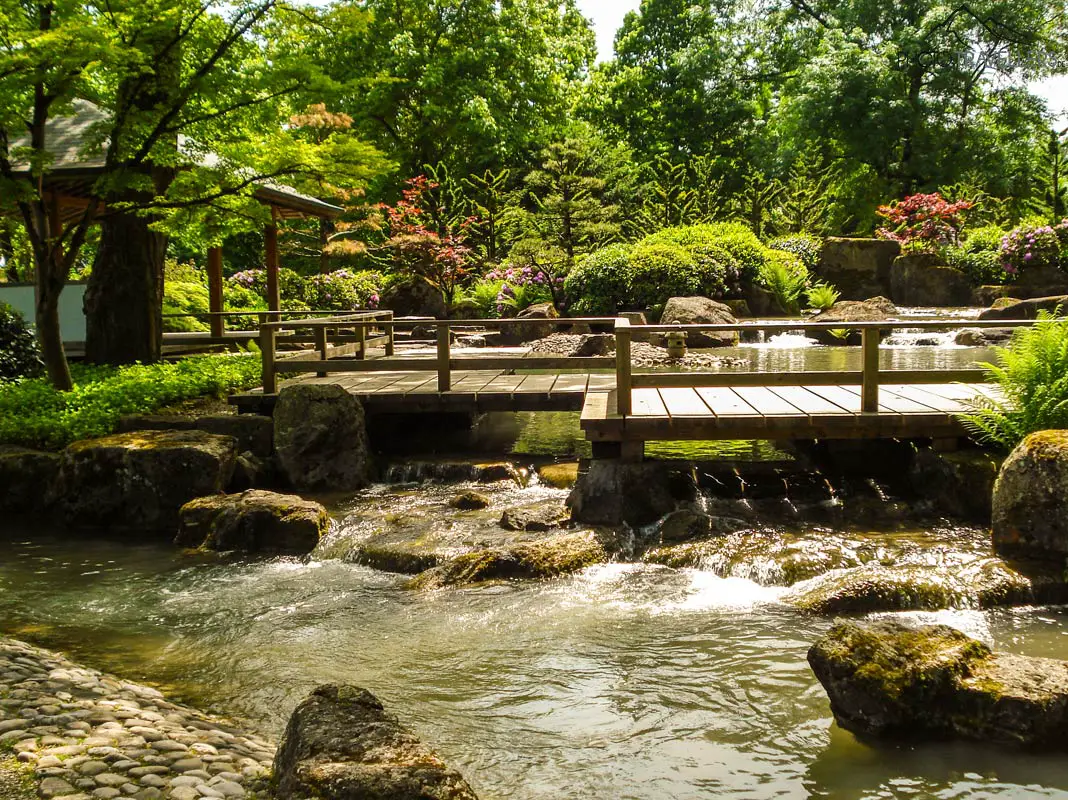 Der Japanische Garten im Botanischen Garten