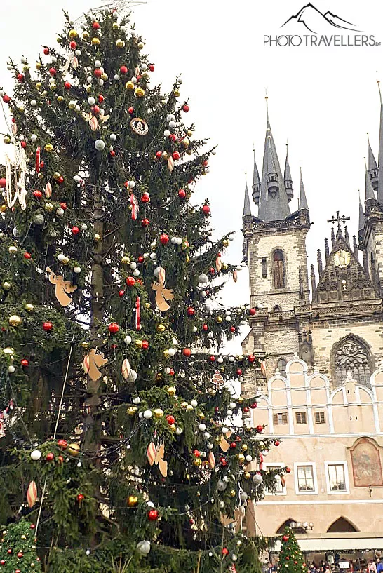 Prag an Weihnachten - Christbaum