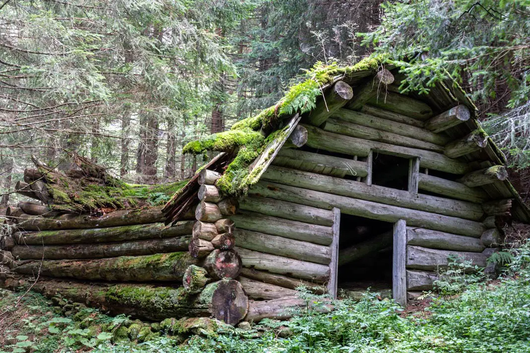 Eine verfallene Hütte im Wald