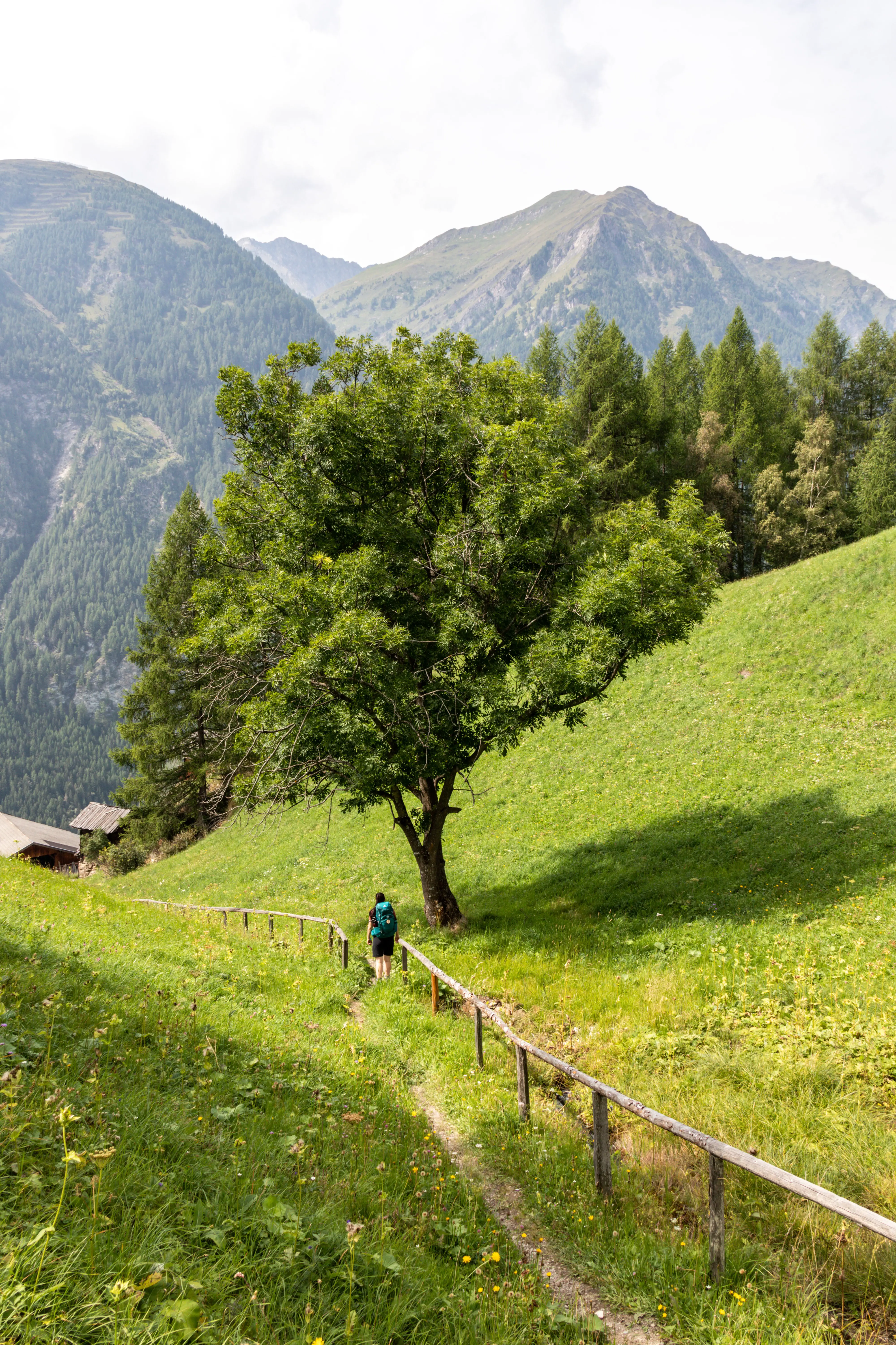 Auf dem Alpe Adria Trail