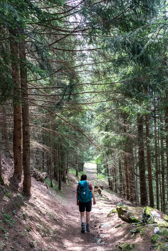 Waldweg auf dem Weg nach Döllach