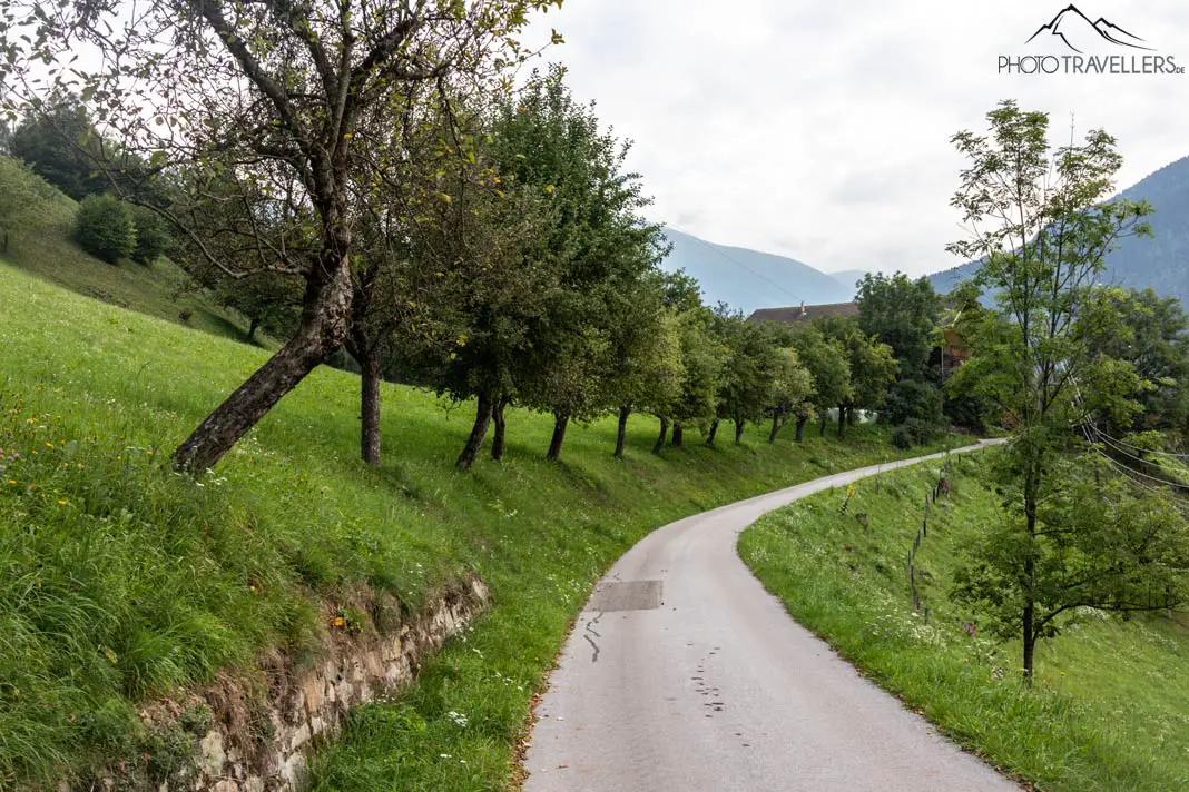 Fahrweg auf dem Alpe Adria Trail