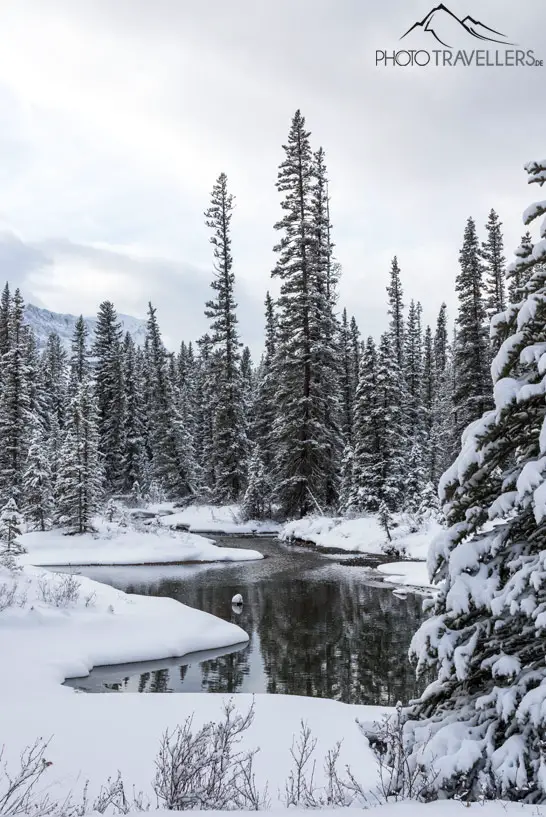 Verschneite Winterlandschaft mit Gewässer und Bäumen