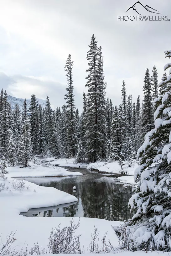 Verschneite Winterlandschaft mit Gewässer und Bäumen