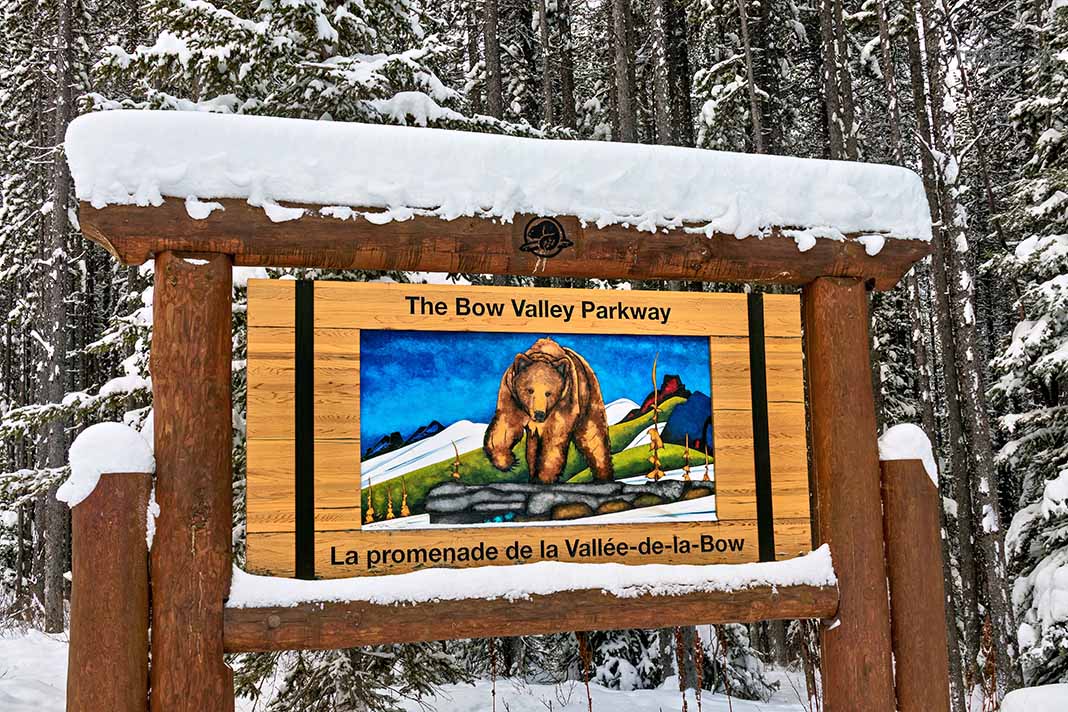 Schild mit Bär vom Bow Valley Parkway