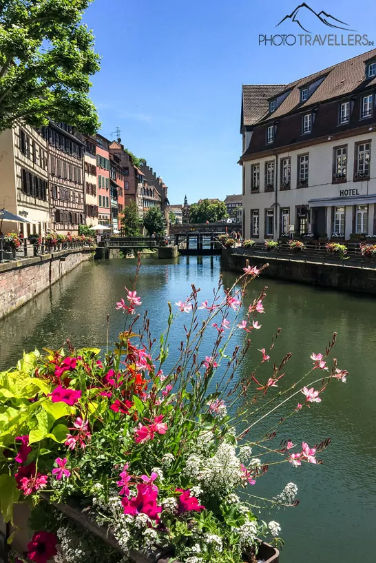 Kanal in Straßburg mit alten Häusern und Blumen im Vordergrund