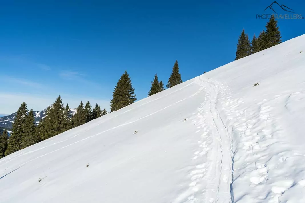 Skispuren im Schnee