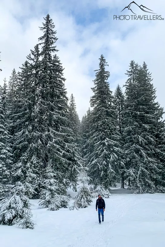 Wanderer im Schnee