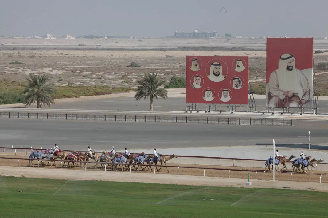 Blick von oben auf eine Kamel-Rennen in der Wüste
