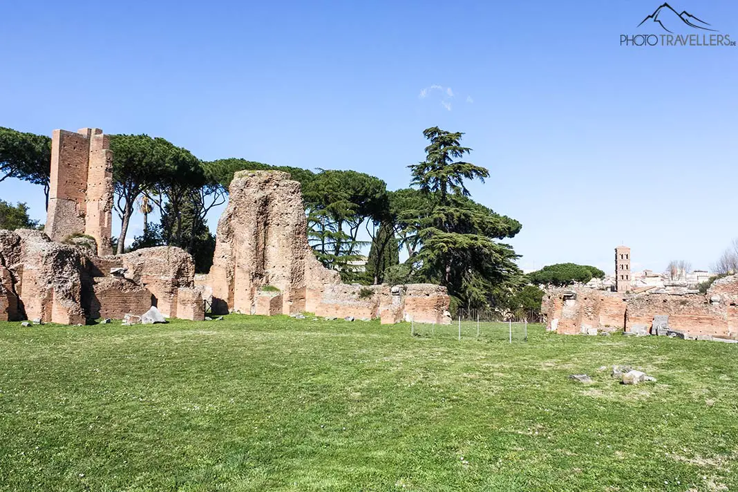 The archaeological park on the Palatine
