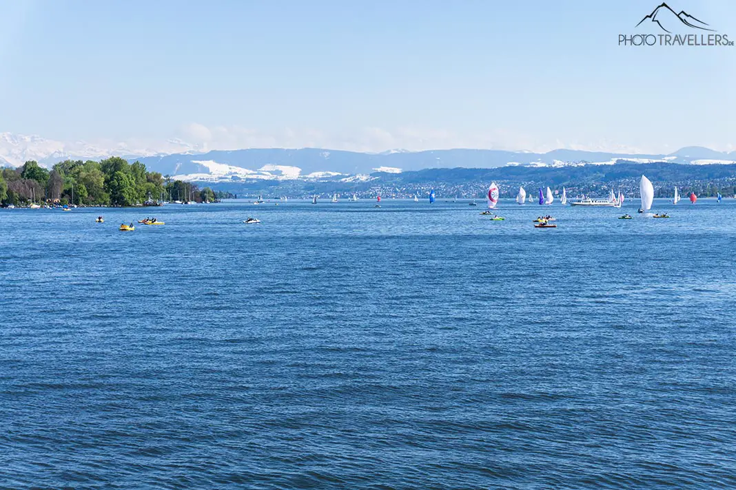 View of the mountains directly on the Zürichsee 