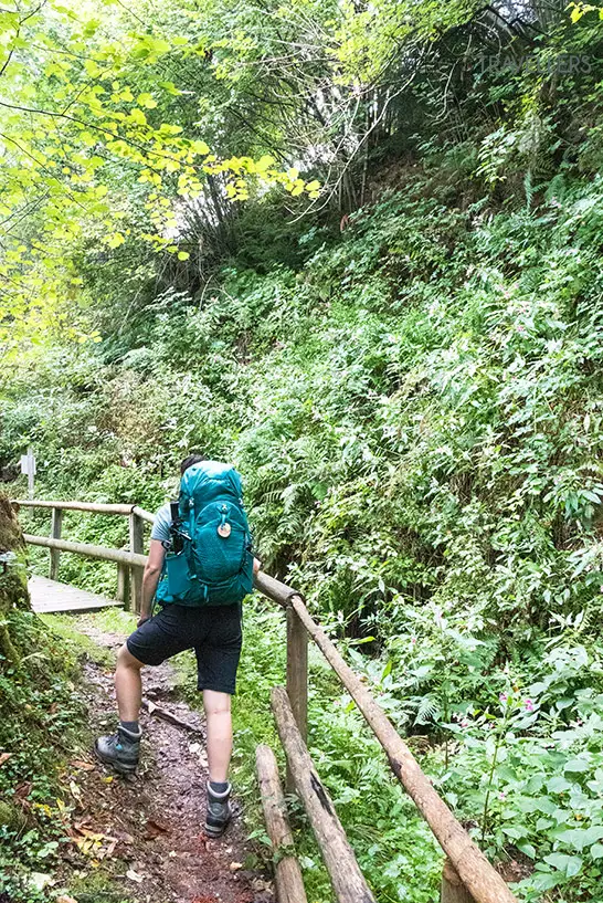 Steig in der Natur auf dem Alpe Adria Trail