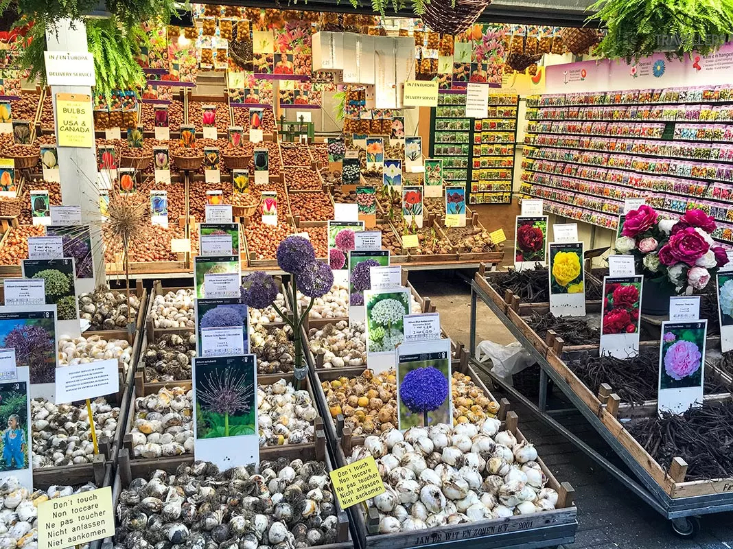 Blick in ein Geschäft auf dem bekannten Blumenmarkt