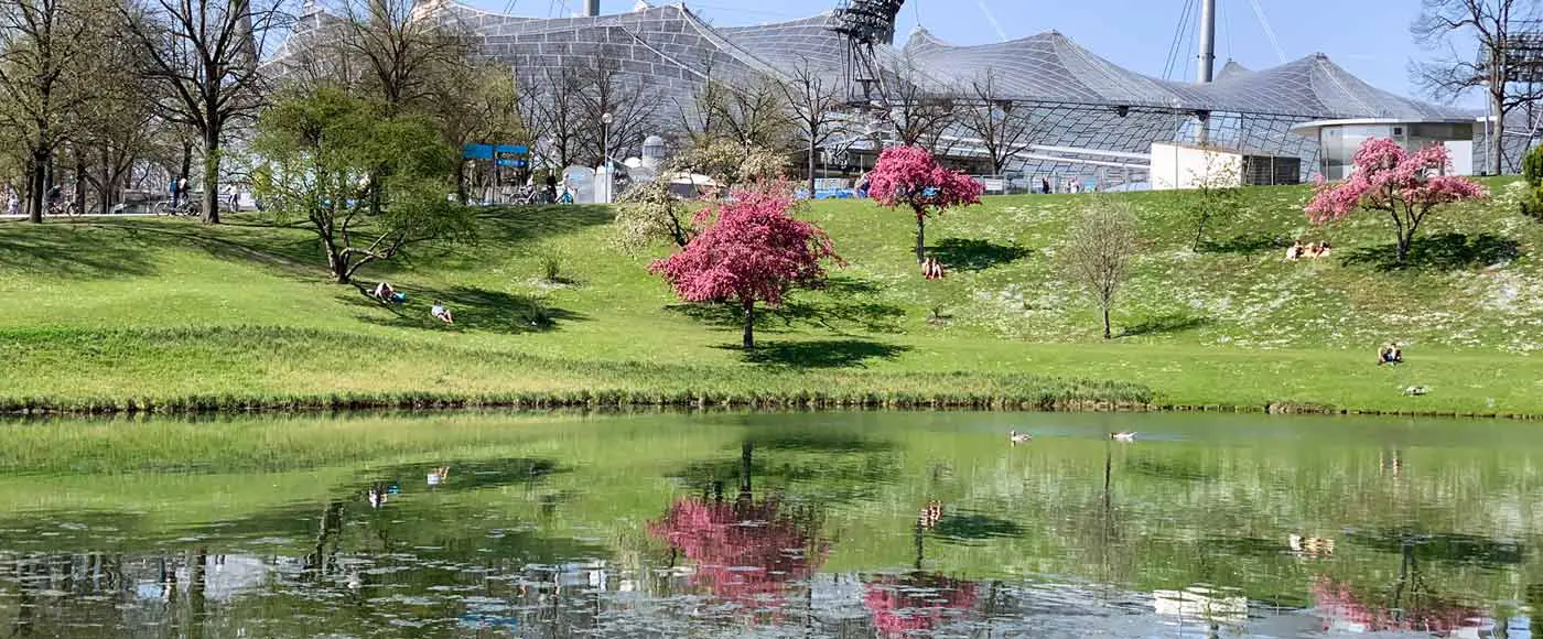 Die schönsten Orte in München für Kirschblüten