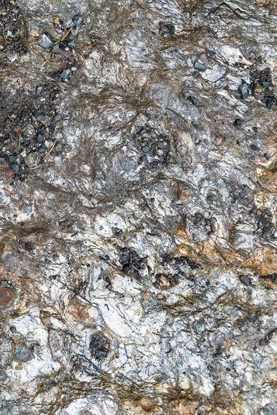 Katzensilber am Wegesrand - ein glimmerndes Mineral im Stein