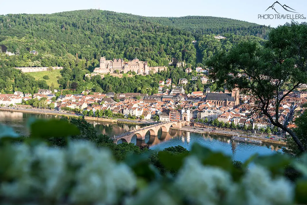Der Blick vom Philosophenweg auf Heidelberg mit dem Heidelberger Schloss