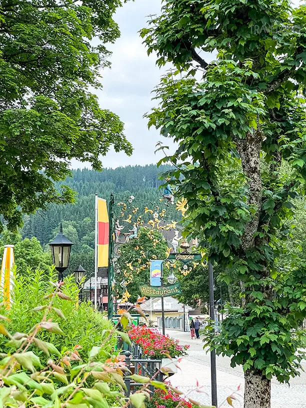Blick auf die Promenade am Titisee im Schwarzwald