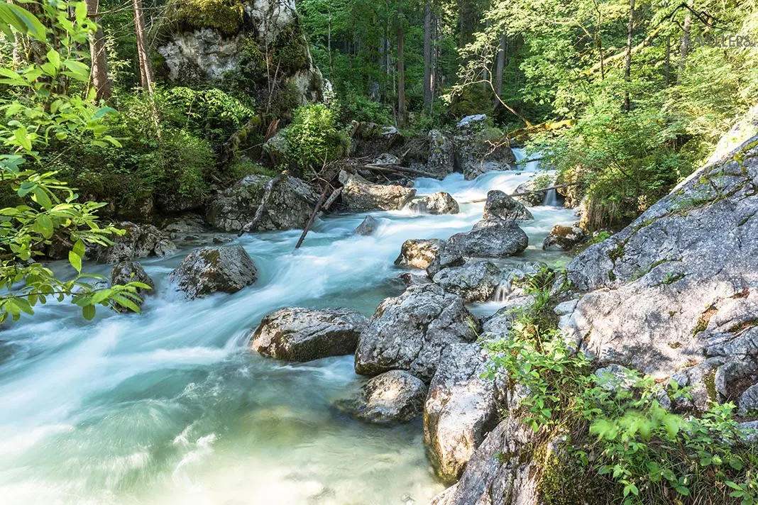 Ein Bachlauf im Zauberwald im Berchtesgadener Land