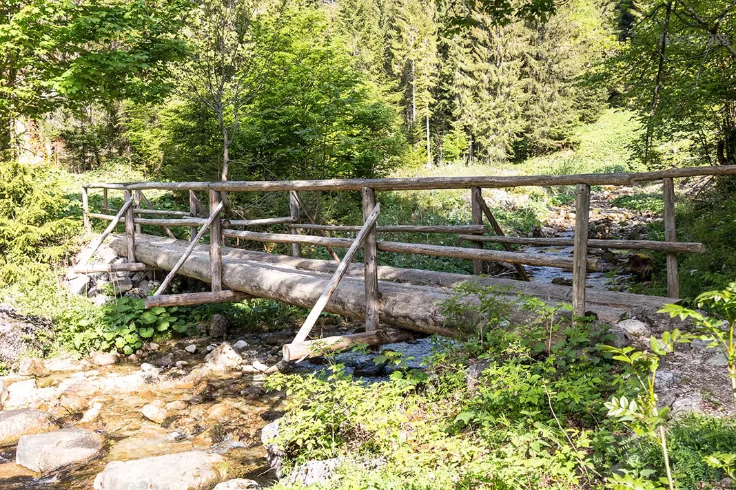 Holzbrücke im Sägertal