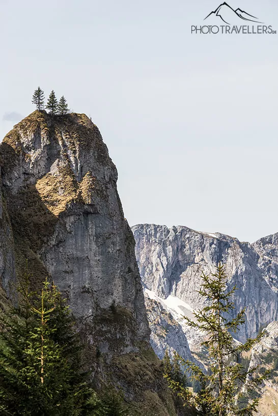 Mit Bäumen bewachsene Felsnadel in den Ammergauer Alpen