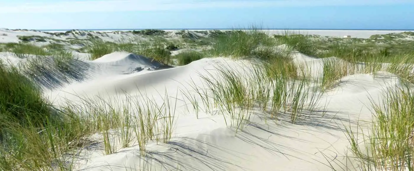 Highlights und Sehenswürdigkeiten auf Borkum