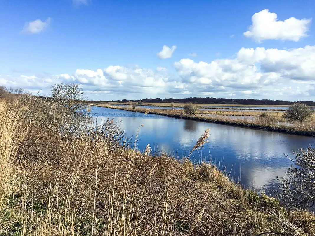 Das Vogelschutzgebiet auf Norderney lohnt einen Abstecher