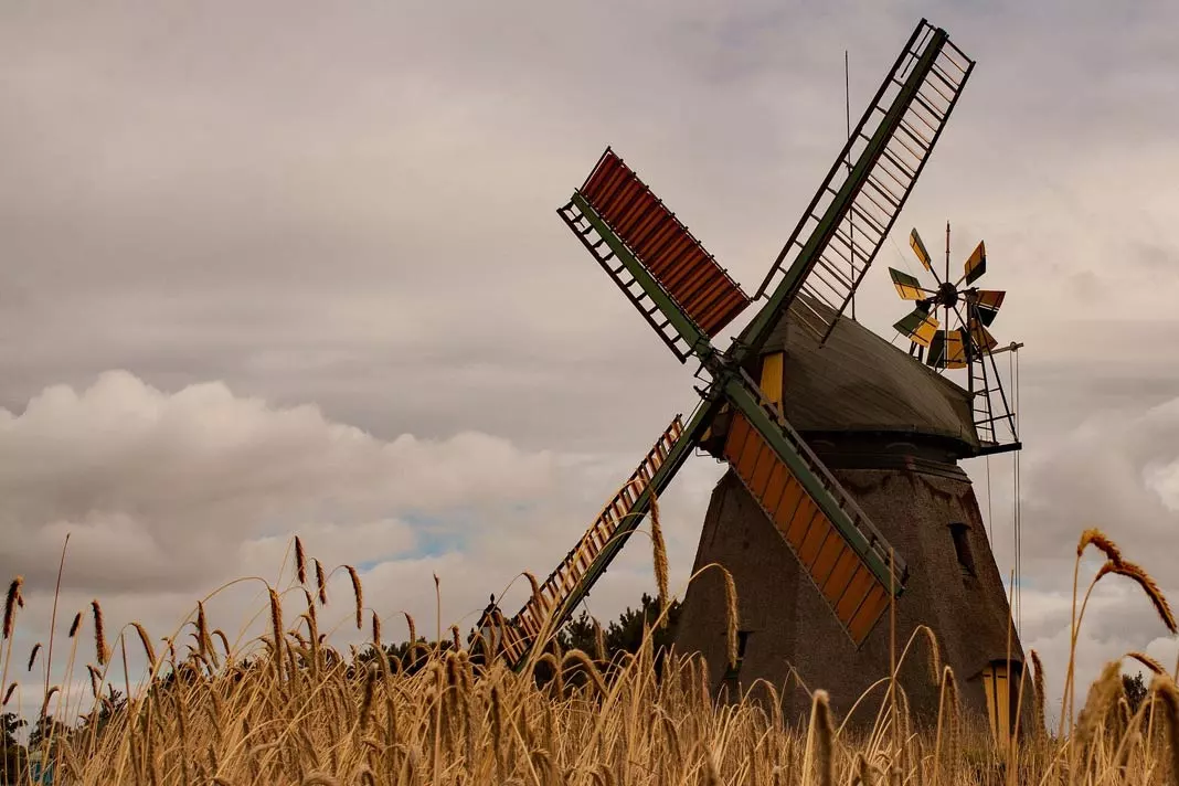 Die bekannten Windmühlen auf Amrum