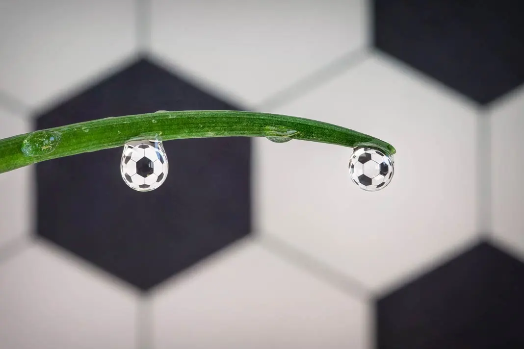 Wassertropfen reflektieren ein Wabenmuster an einem Grashalm eines Fußballrasens und wandeln sich dabei selbst scheinbar in Fußbälle