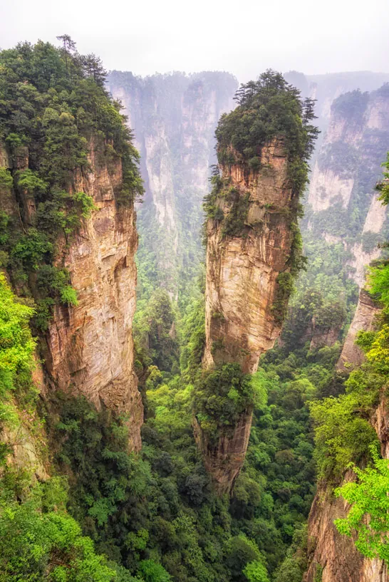 Die steilen Felsen im Zhangjiajie National Forest in China