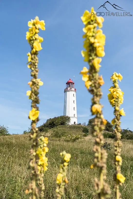 Der Blick auf den Leuchtturm Dornbusch auf Hiddensee