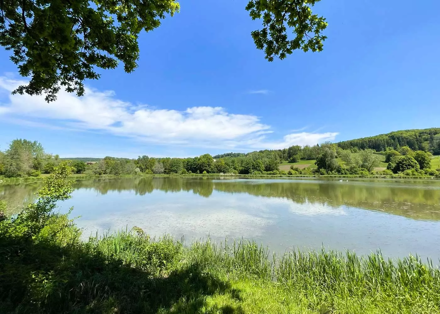 Die schönsten Seen in Franken