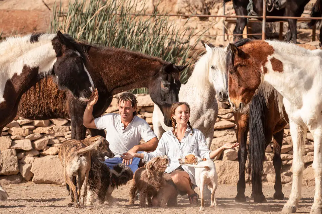 Emma und Edo vom Tenerife Horse Rescue and Animal Sanctuary