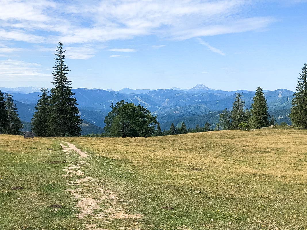 Blick vom Muckenkogel