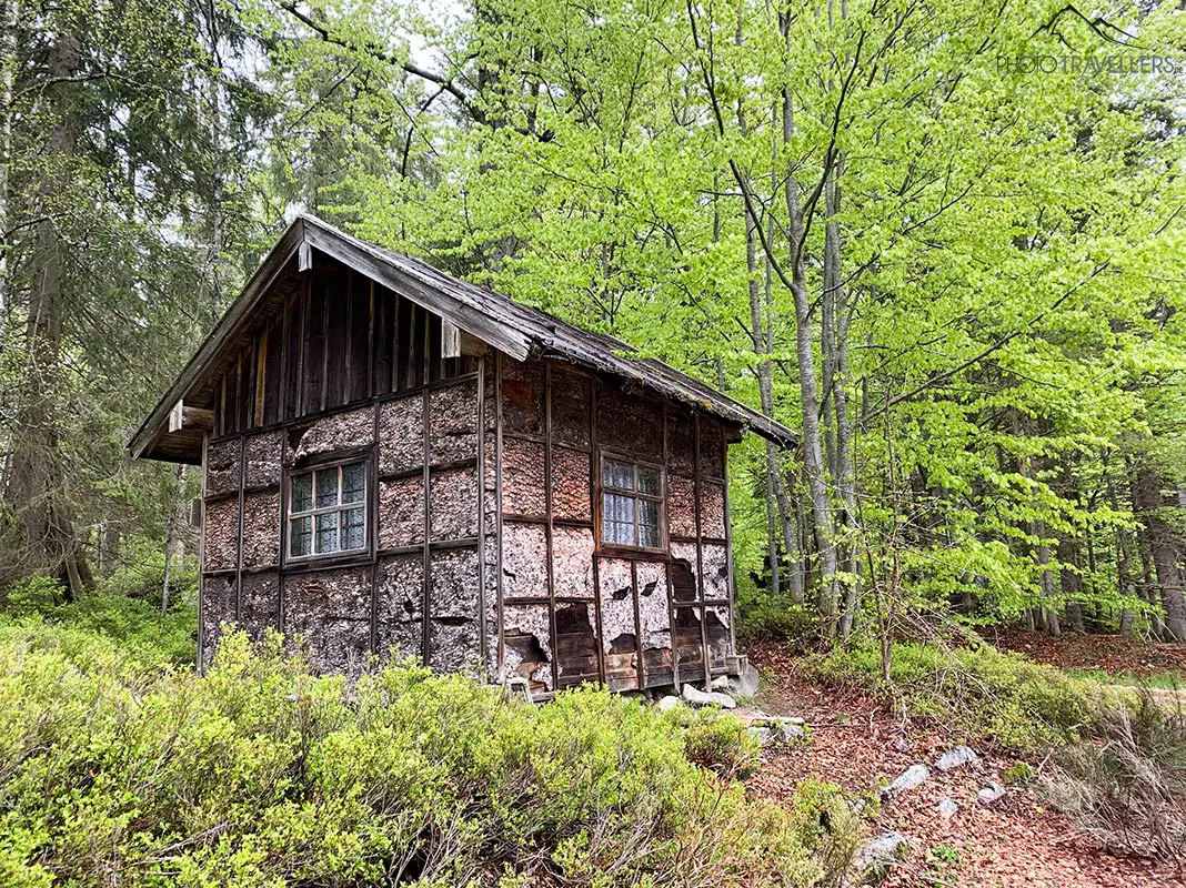 Eine Hütte im letzten Urwald Europas
