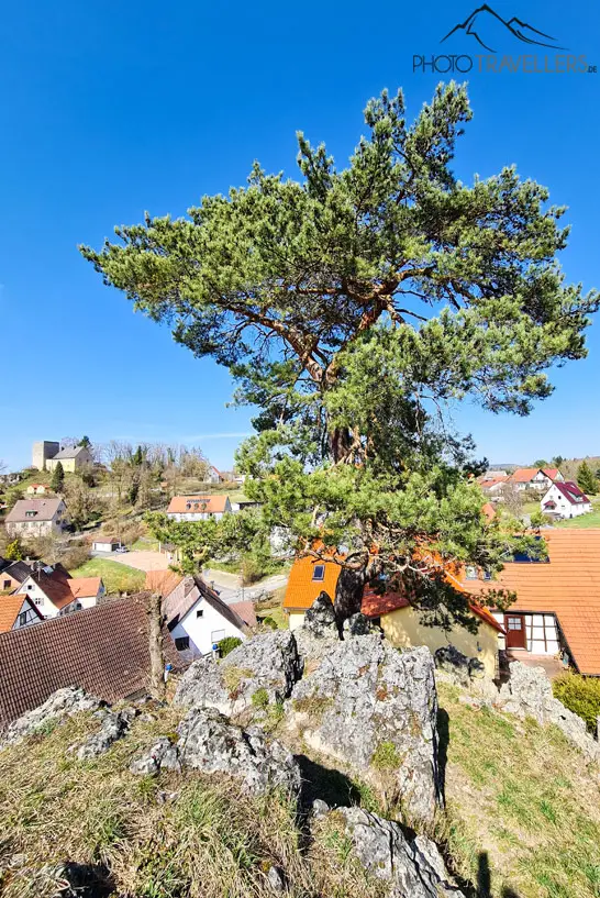 Der Ort Thuisbrunn mit der Burg in der Fränkischen Schweiz