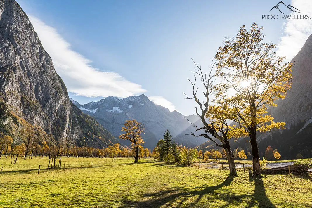Angestrahlte Bäume im Herbst im Großen Ahornboden in Tirol