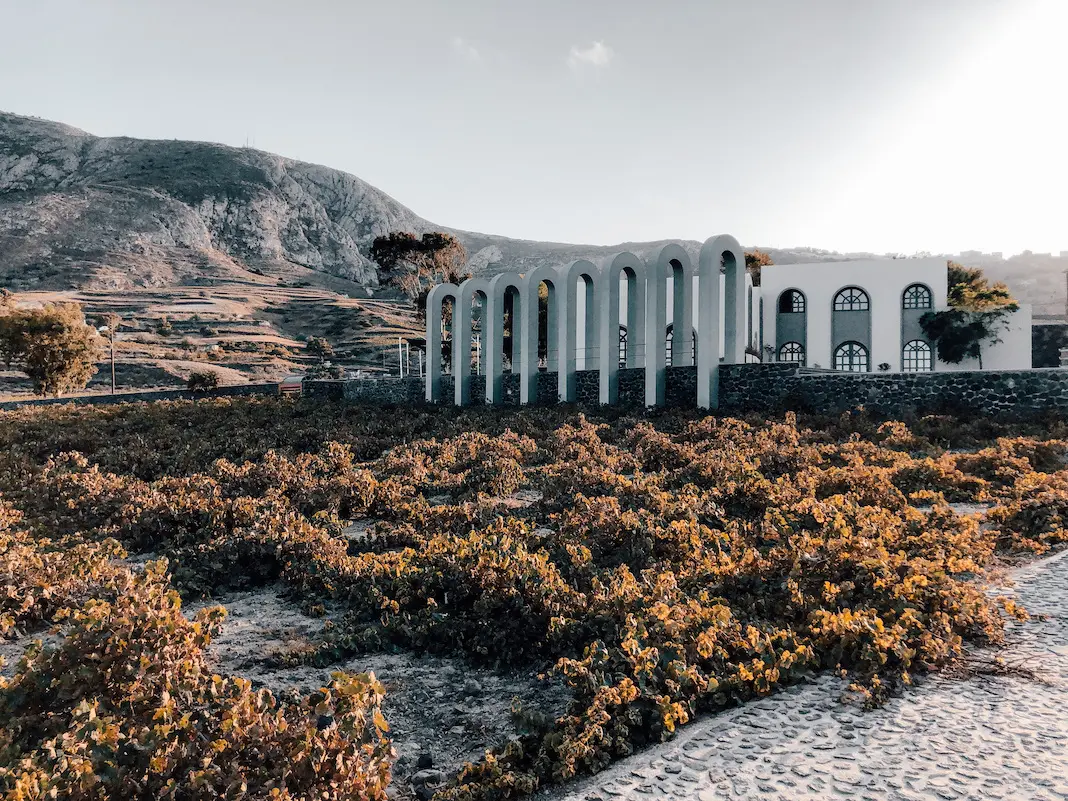 Argyros Weingut auf Santorini