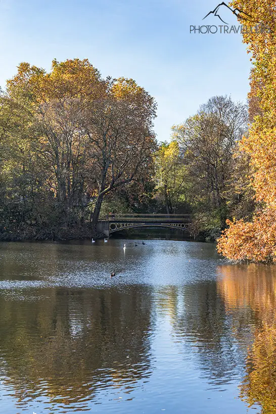 Ein See im Hofgarten im Herbst