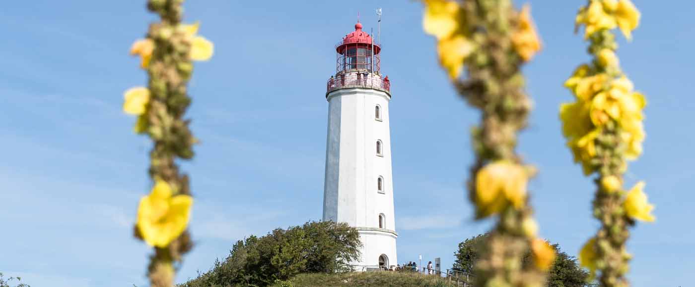 Highlights und Sehenswürdigkeiten auf Hiddensee