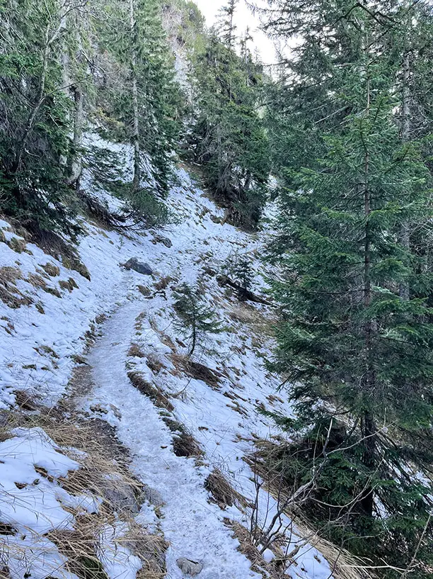 Verschneiter Wanderweg im Wald