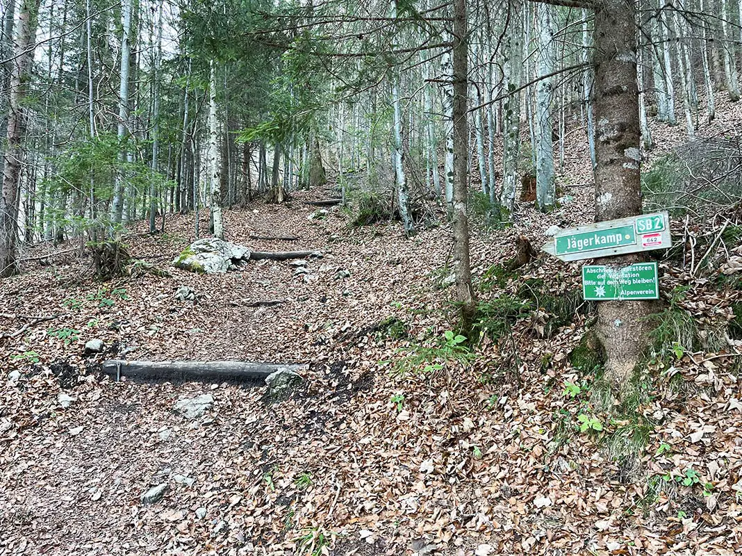 Breiter Wanderweg im Wald