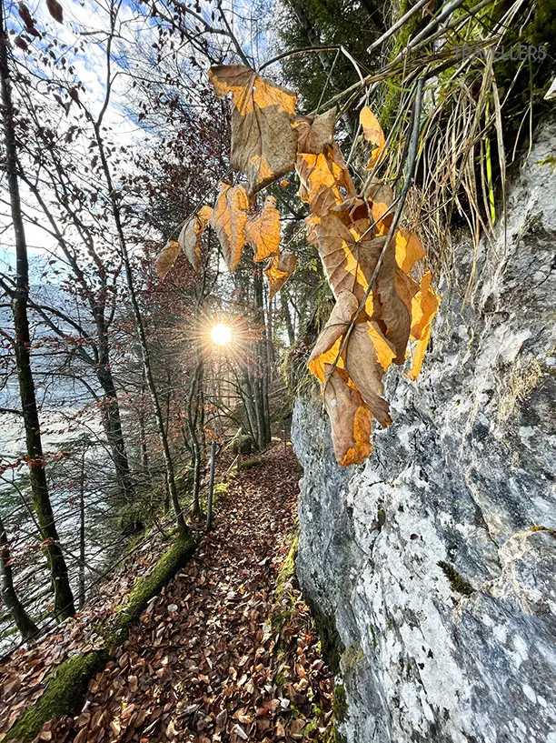 Der Felsenweg im Herbst