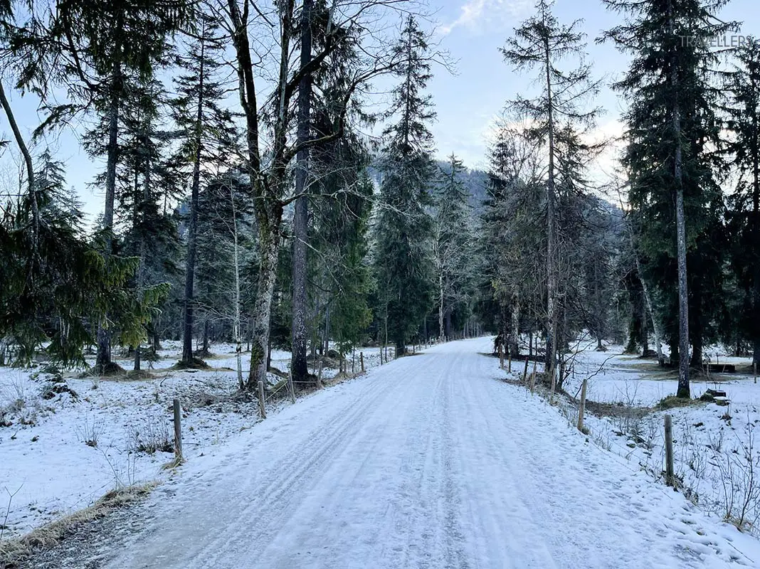 Verschneite Straße im Bergwald