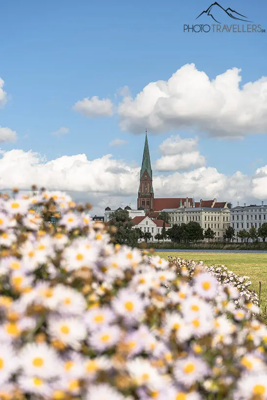Blick auf den Schweriner Dom mit Blumen im Vordergrund