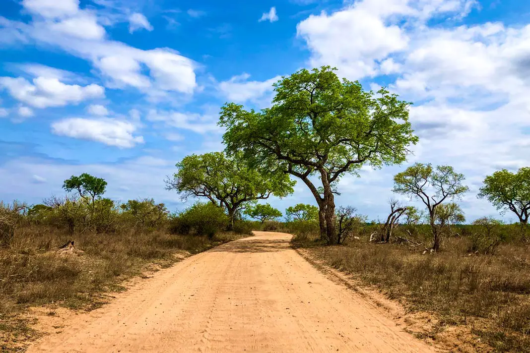 Straße im Kruger Nationalpark