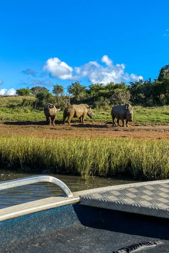 Nashörner sonnen sich im Safari Park in der Sonne